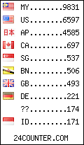 visitors by country counter