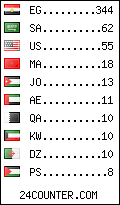 visitors by country counter