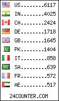 visitors by country counter