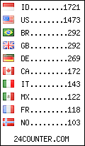 visitors by country counter
