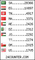 visitors by country counter