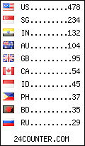 visitors by country counter