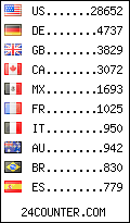 visitors by country counter