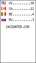 visitors by country counter