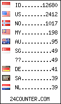 visitors by country counter