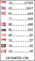 visitors by country counter