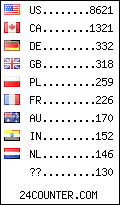 visitors by country counter