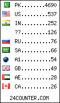 visitors by country counter