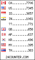 visitors by country counter