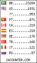 visitors by country counter