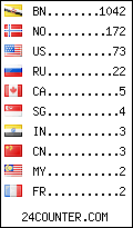 visitors by country counter