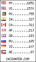 visitors by country counter