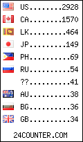 visitors by country counter