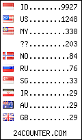visitors by country counter