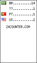 visitors by country counter