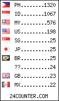 visitors by country counter
