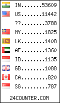 visitors by country counter