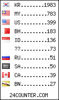 visitors by country counter