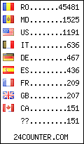 visitors by country counter