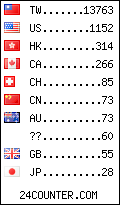 visitors by country counter