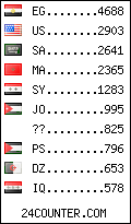 visitors by country counter