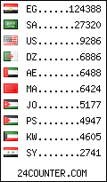 visitors by country counter