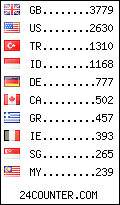 visitors by country counter