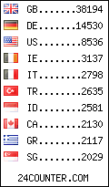 visitors by country counter