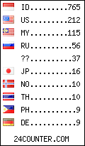 visitors by country counter