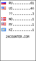 visitors by country counter