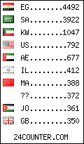 visitors by country counter