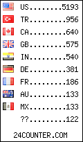 visitors by country counter