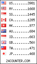 visitors by country counter