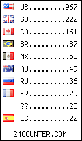 visitors by country counter