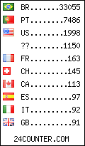 visitors by country counter