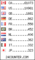 visitors by country counter