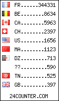visitors by country counter