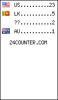 visitors by country counter