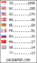 visitors by country counter