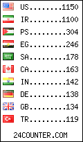 visitors by country counter