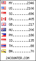 visitors by country counter