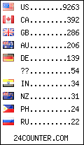 visitors by country counter