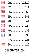 visitors by country counter