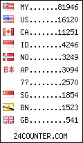 visitors by country counter