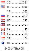 visitors by country counter