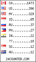 visitors by country counter