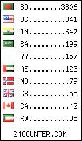 visitors by country counter