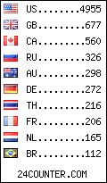 visitors by country counter