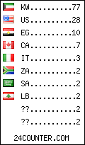 visitors by country counter