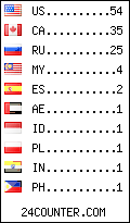 visitors by country counter